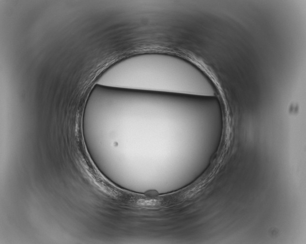 X0000113620057200909181126