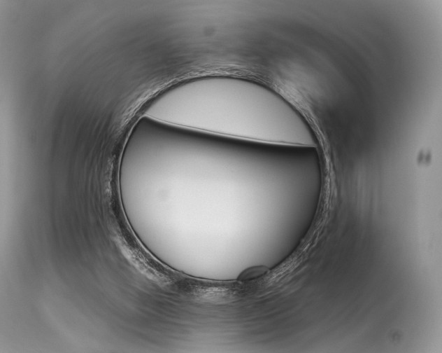 X0000113620058200909181126