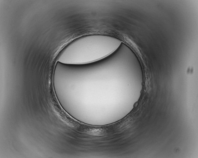 X0000113620059200909181126