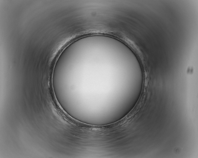 X0000113620060200909181126