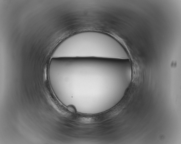 X0000113620061200909181126