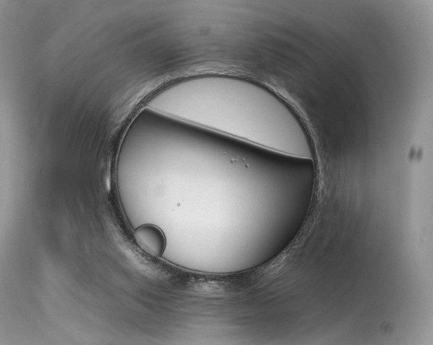 X0000113620062200909181126