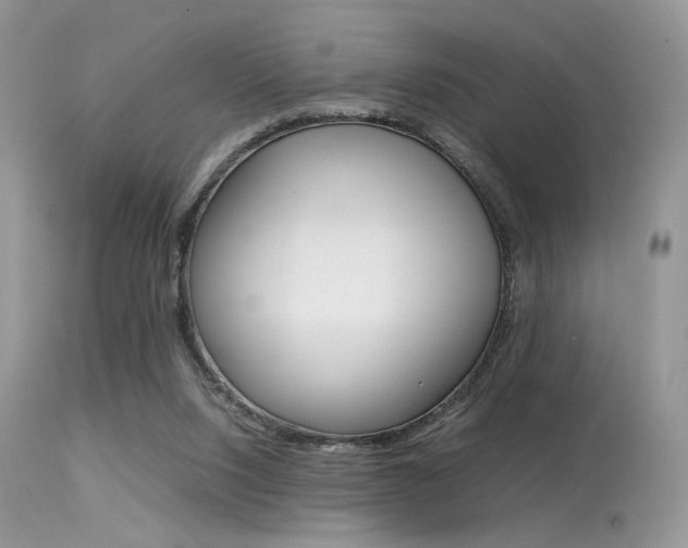 X0000113620064200909181126