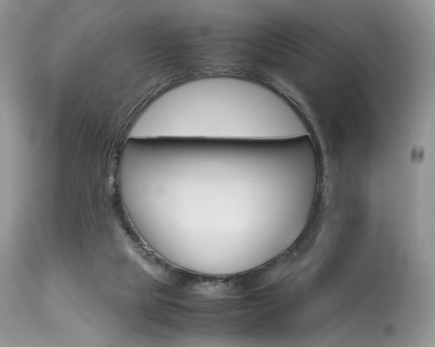 X0000113620065200909181126