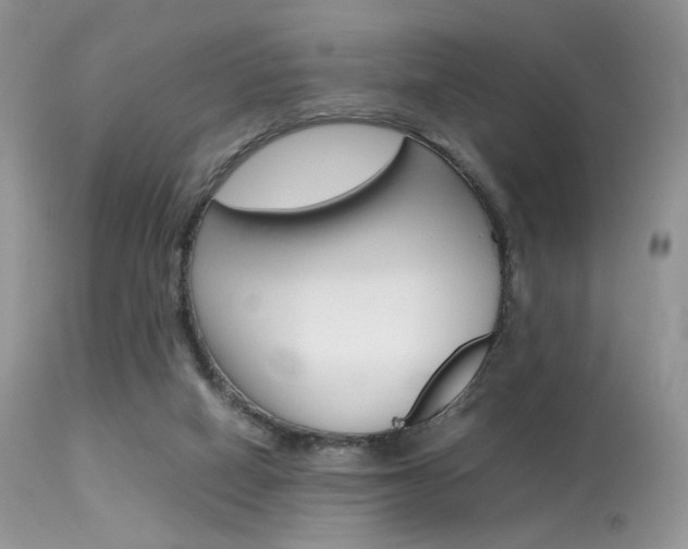 X0000113620066200909181126