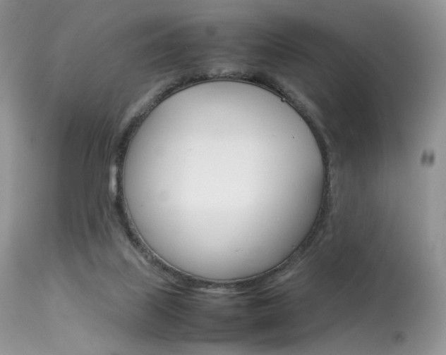 X0000113620067200909181126