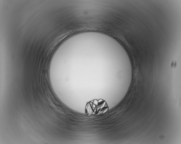 X0000113620068200909181126