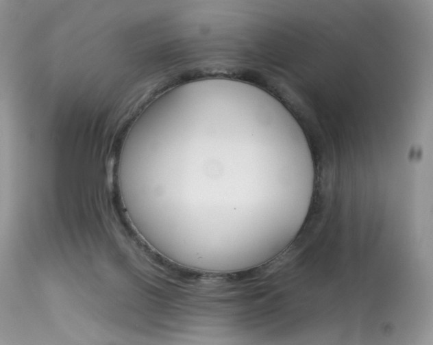 X0000113620070200909181126