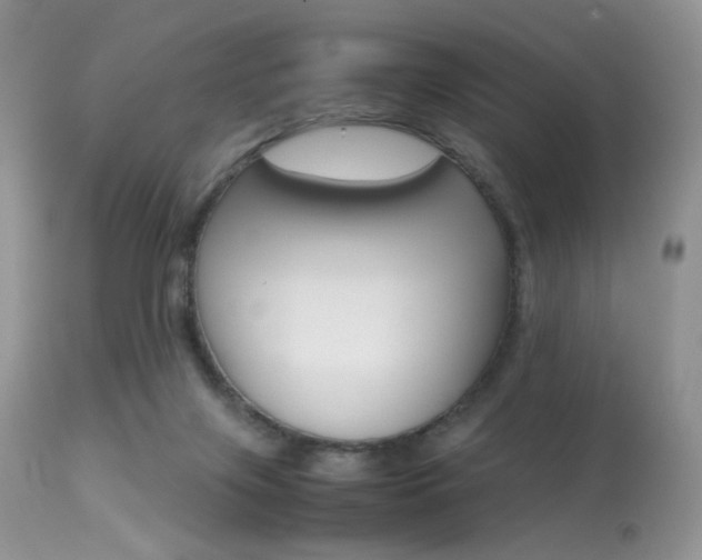 X0000113620071200909181126