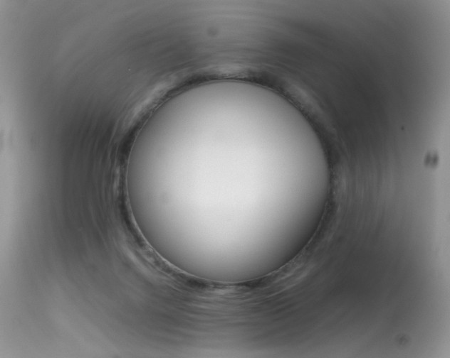 X0000113620072200909181126