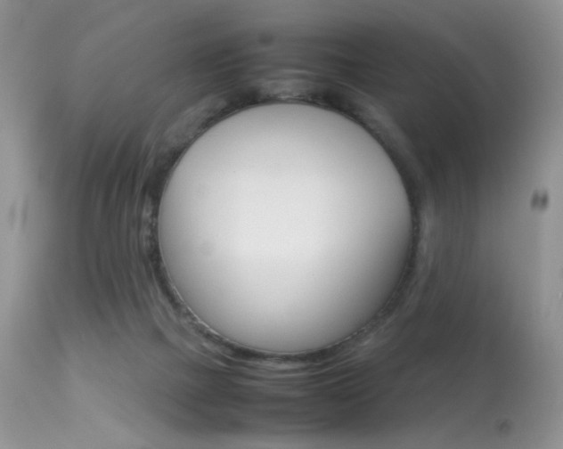 X0000113620073200909181126