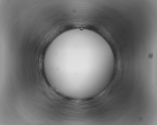 X0000113620074200909181126