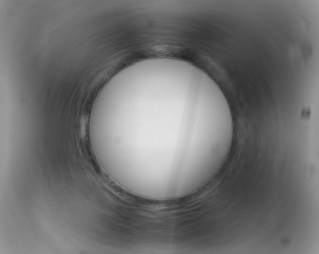 X0000113620075200909181126