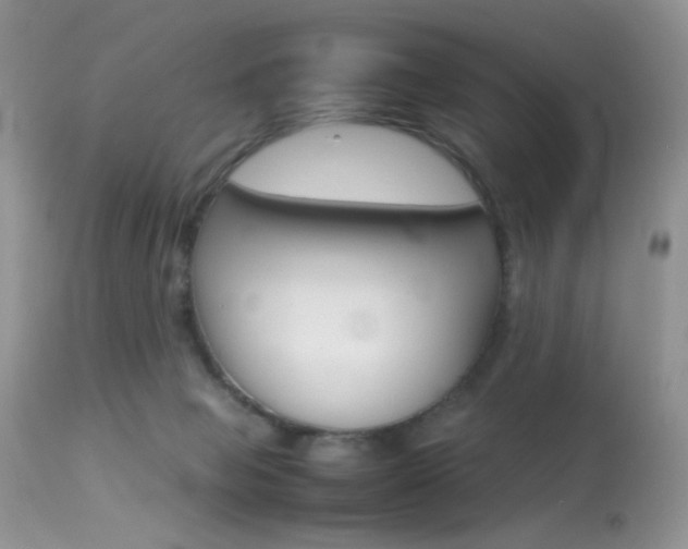 X0000113620077200909181126