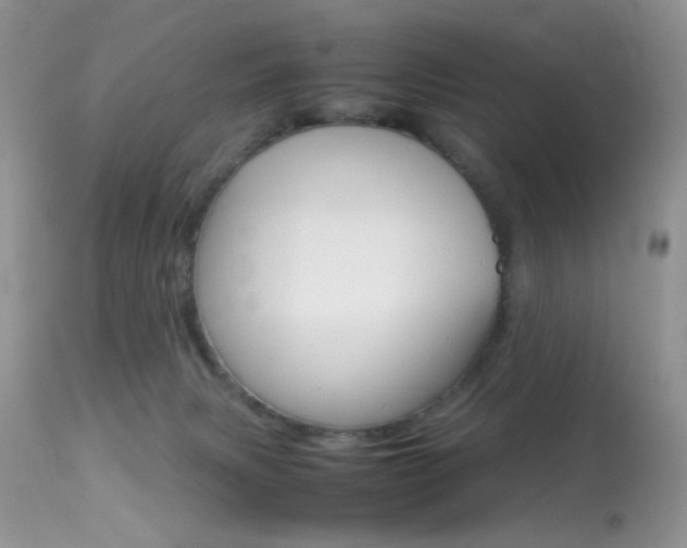 X0000113620079200909181126