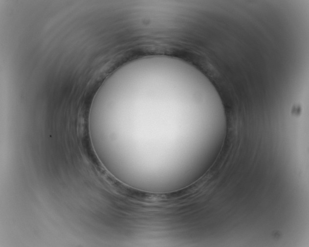 X0000113620080200909181126