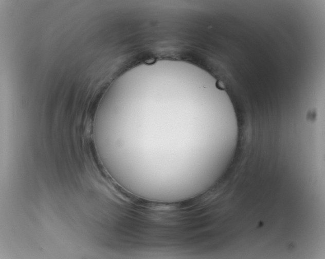 X0000113620081200909181126