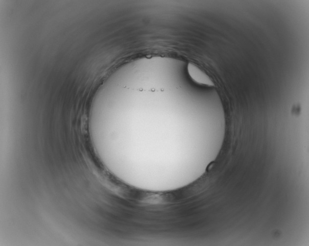 X0000113620083200909181126