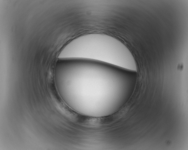 X0000113620084200909181126