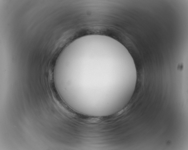 X0000113620086200909181126