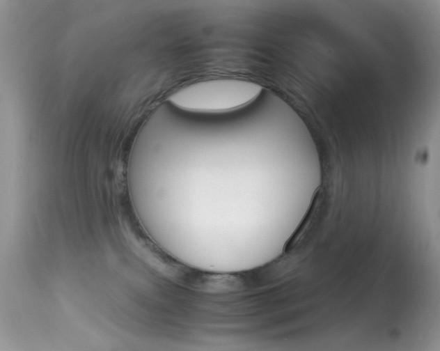 X0000113620087200909181126