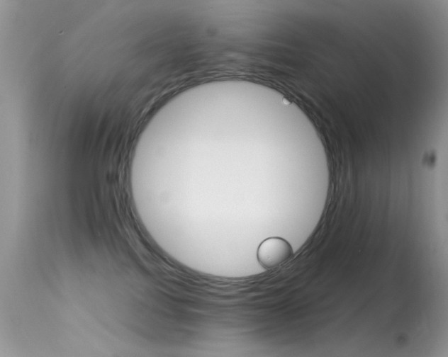 X0000113620088200909181126