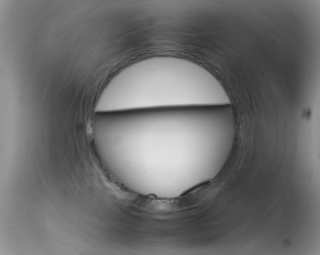 X0000113620089200909181126