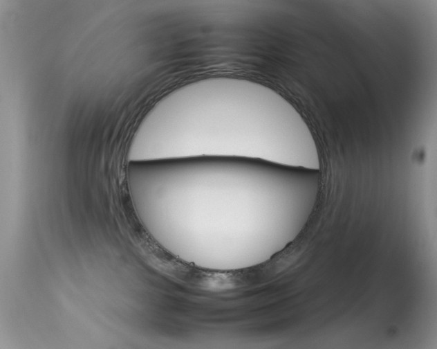 X0000113620091200909181126