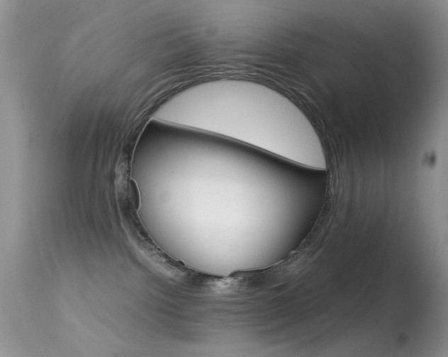 X0000113620092200909181126