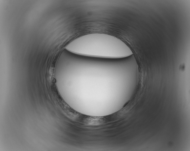 X0000113620093200909181126