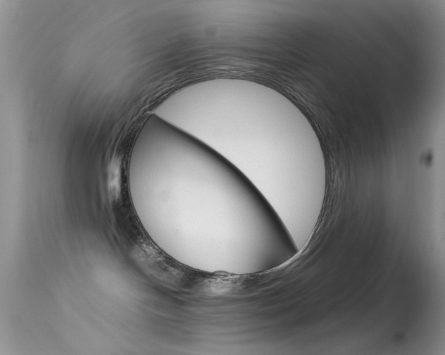 X0000113620094200909181126