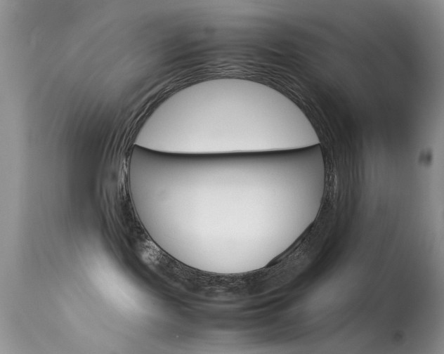 X0000113620095200909181126