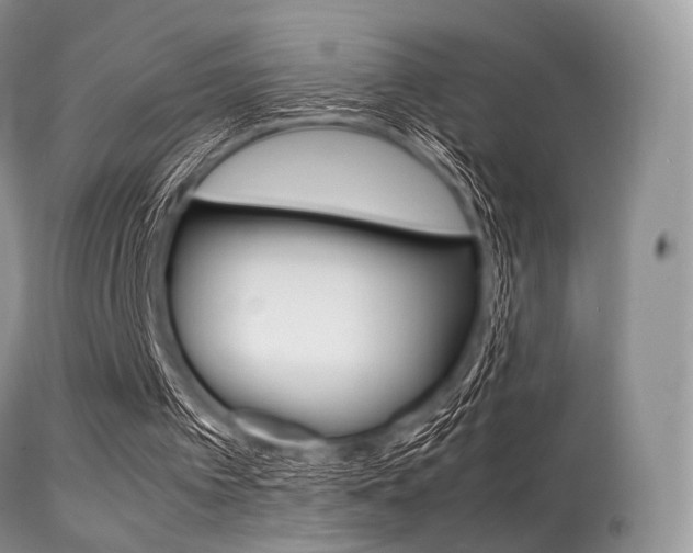 X0000113620097200909181126