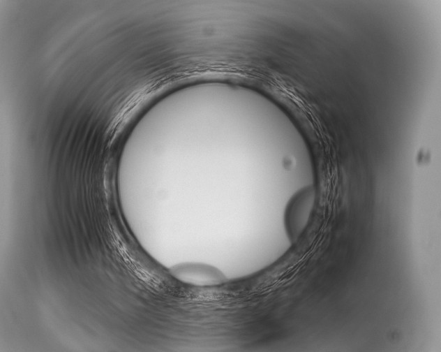 X0000113620098200909181126