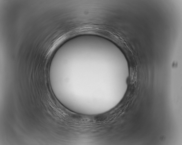 X0000113620099200909181126