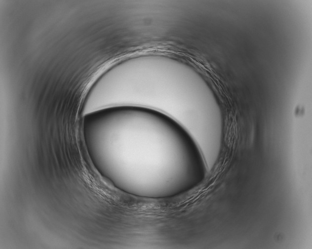 X0000113620100200909181126