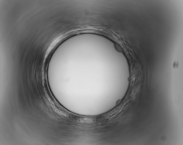 X0000113620102200909181126