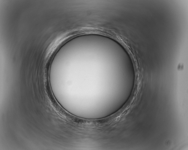 X0000113620103200909181126