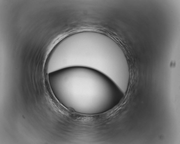 X0000113620104200909181126