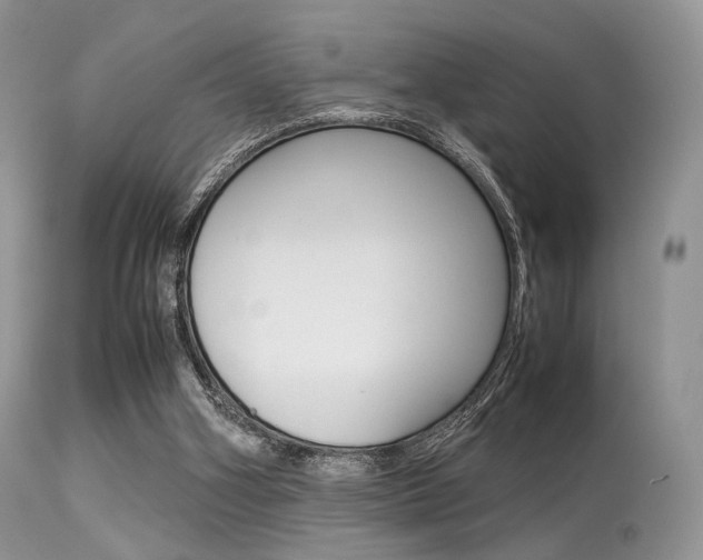 X0000113620106200909181126