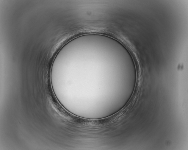 X0000113620107200909181126