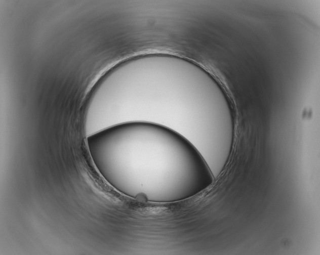 X0000113620108200909181126