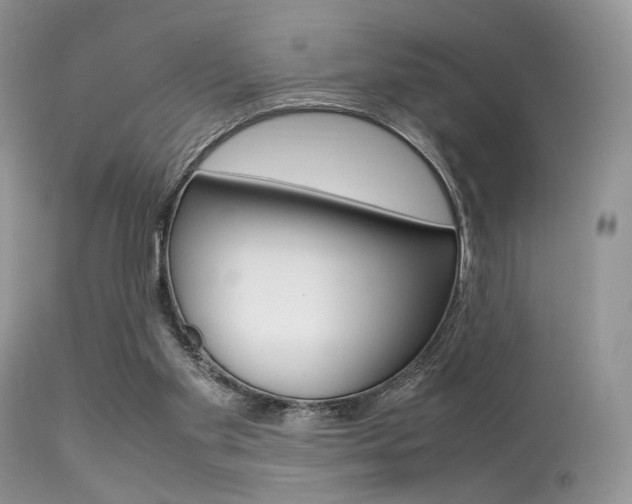 X0000113620109200909181125