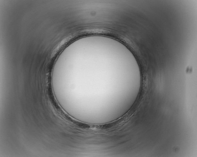 X0000113620111200909181125