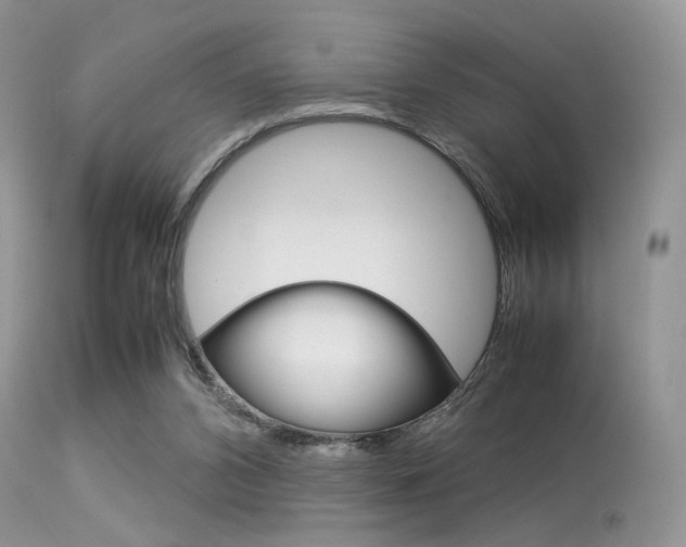 X0000113620112200909181125