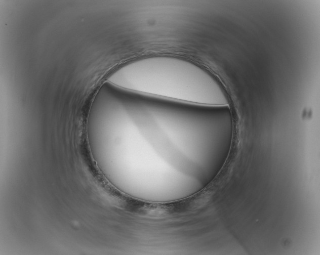 X0000113620113200909181125