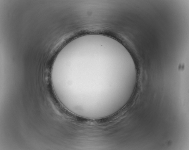 X0000113620115200909181125