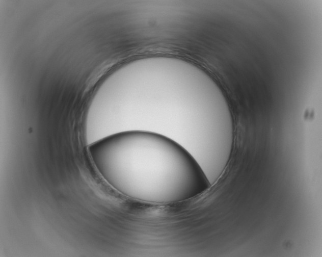 X0000113620116200909181125