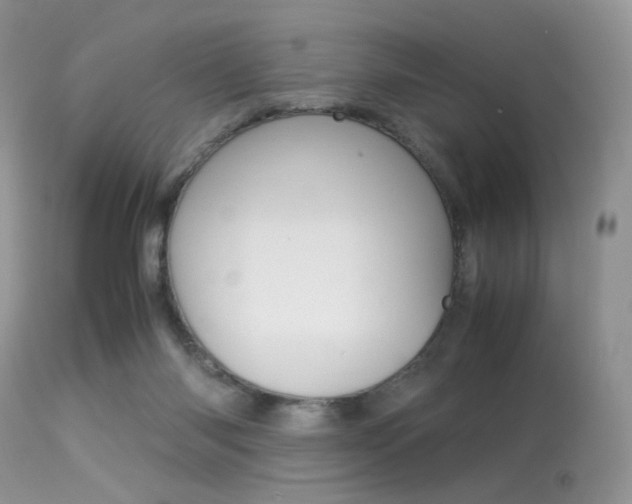 X0000113620118200909181125