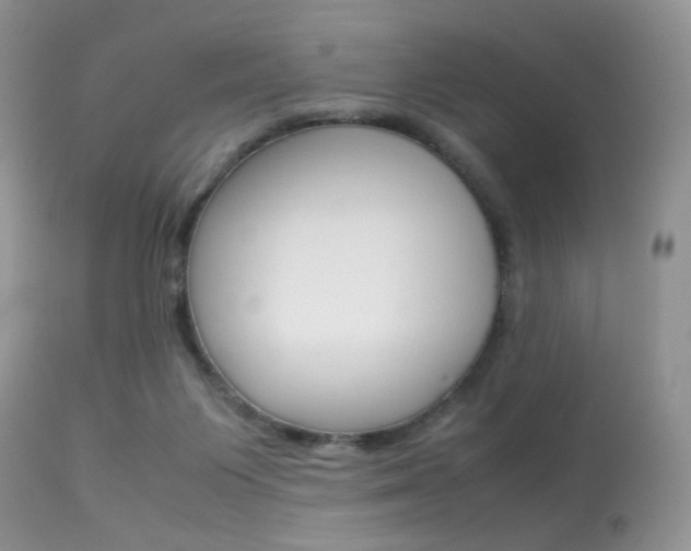 X0000113620119200909181125